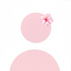 Meet your Posher, Kt